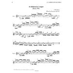 MERTZ:GUITAR WORKS 12 STUDIES & WORKS VOL.11