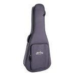 MARTIN ELEKTRO AKUSTIČNA KITARA D-12E Retro s torbo