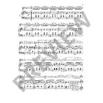 STRAUSS: WALZER ALBUM VIOLINE AND PIANO