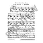 STRAUSS: WALZER ALBUM VIOLINE AND PIANO