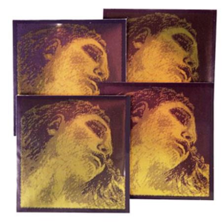 EVAH PIRAZZI GOLD STRUNE VIOLINA SET G-SILVER MEDIUM / ZANKA