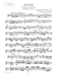TARTINI: SONATEN VIOLIN AND PIANO VOL. 2 The devil's trill,Didone abbandonata