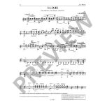 MERTZ:GUITAR WORKS VOL.6