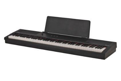 GEWA Portable Piano PP-2 Prenosni digitalni klavir