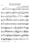 GLUCK/BOHM:CHE FARO SENZA EURIDICE ARIE  ORFEO ED EURIDICE FLOTE & KLAVIER