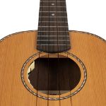CASCHA Concert Ukulele Cedar Solid Top with Pickup incl.bag CUCCS1-EQ