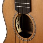 CASCHA Concert Ukulele Cedar Solid Top with Pickup incl.bag CUCCS1-EQ