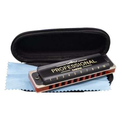 CASCHA ustna hamonika Professional Blues Harmonica in F Diatonic HH-2221