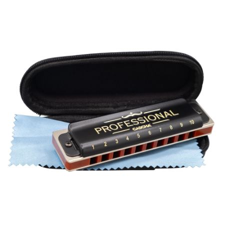 CASCHA ustna hamonika Professional Blues Harmonica in E Diatonic HH-2220