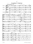 SPECKERT:DON'T FEED THE ANIMALS 12 PIECES FOR STRING ENSEMBLE